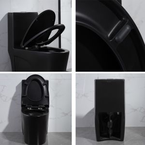 Matt Black One-Piece Compact Elongated Dual-Flush Toilet With Skirted Trapway