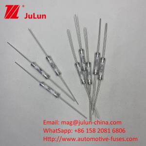 HV660 16A 30KA 10-30A Ceramic Fuses With Axial Leads For Automotive