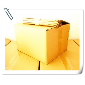 Wholesale 2019 The Best Quality Cheap Christmas crackers，cracker snap、cracker snap strip、13 inch cracker snap strip Made In China from china suppliers