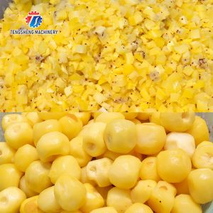 1000KG/H Large fruit and vegetable dicing machine Aloe dicing machine potato