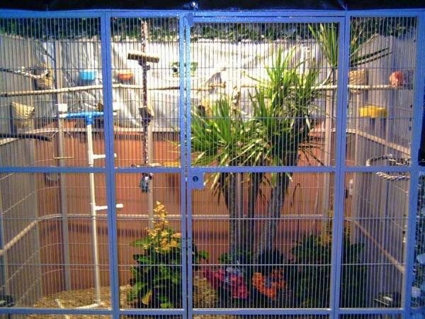 Quality zoo aviary mesh weld mesh and flexible rope mesh for sale