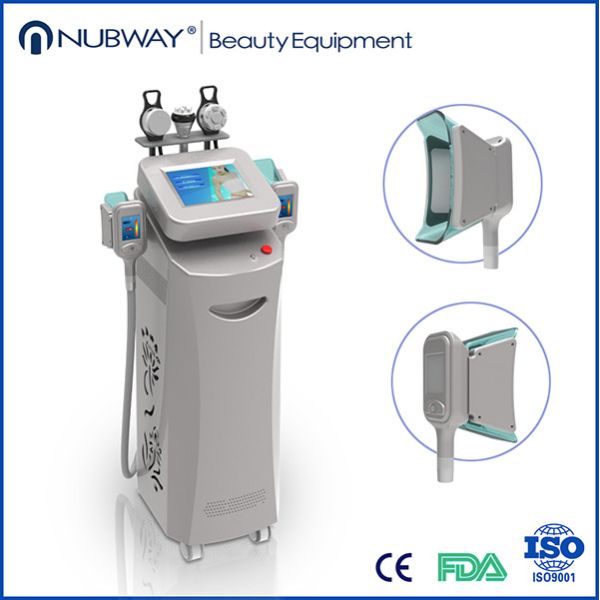 Quality Hot in USA Cryolipolysis Slimming Machine with high quality for sale