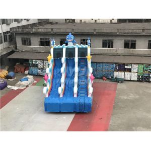 Fire Resistant Tarpaulin Inflatable Water Slides For School Club Playing Center