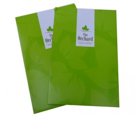 Customized folder cheap online business Colour Flyer Printing services for promo