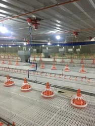 Automatic Poultry Equipment Broiler Feeding And Drinking System Chicken Farm