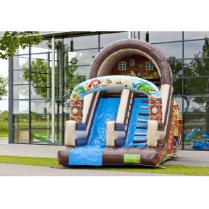 Full Print Attraction Playground Professional Commercial Inflatable Slide For
