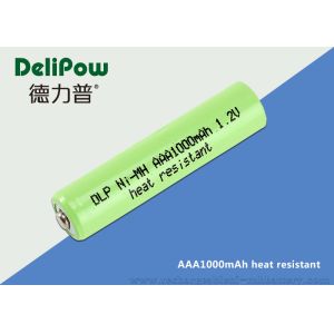 Professional 1.2 V Rechargeable Battery , 1000mAh Aaa Rechargeable Batteries