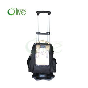 China 1L home use oxygen concentrator with battery on sale