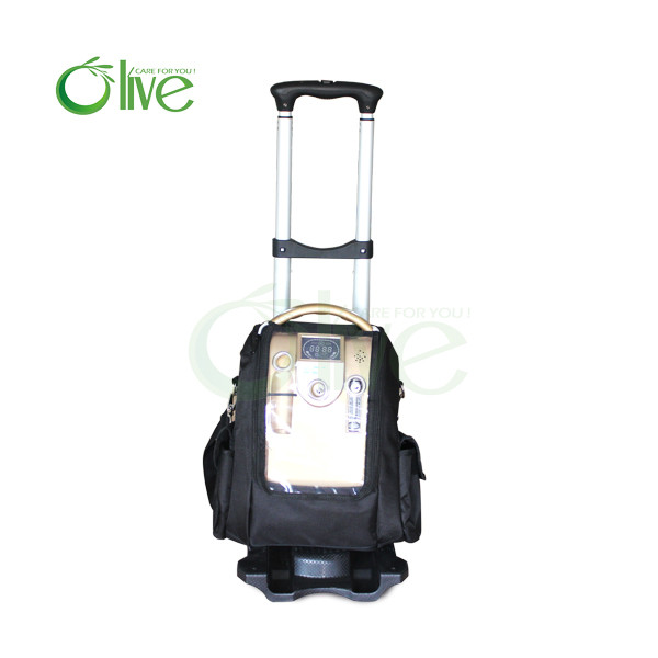 Quality 1L home use oxygen concentrator with battery for sale