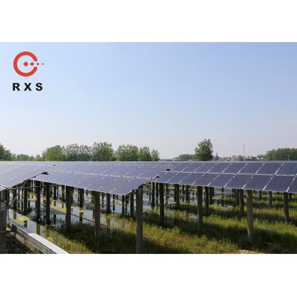 Industrial Monocrystalline Double Glass PV Modules 305W 60 Cells Transparent