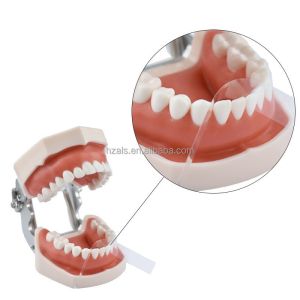 100Pcs/box Dental Filling Tools MICRODONT Interdental Spacer Polyester Matrix