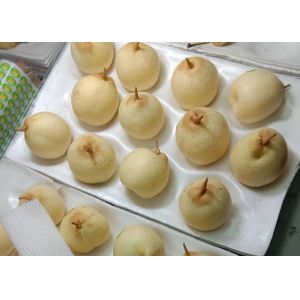 HACCP Yellow Chinese White Pear Juice Pome Fruit