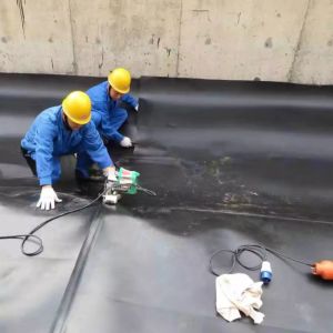 Double Smooth/Double Texture Surface HDPE Geomembrane for Plastic Waterproof