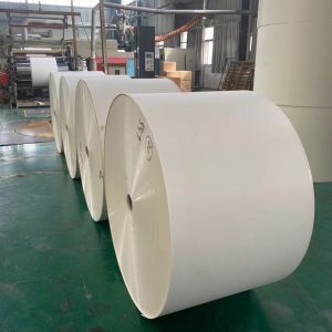 PE Laminated Cup Stock Paper Max 1200mm Coated Paper Roll