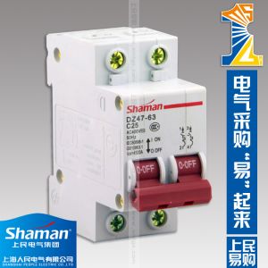 High quality good price DZ47-63-2P-25A Mini circuit breaker,murray circuit