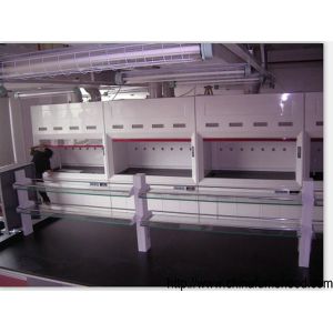 Rustproof Laboratory Fume Cupboard Cabinet Multi Function Practical