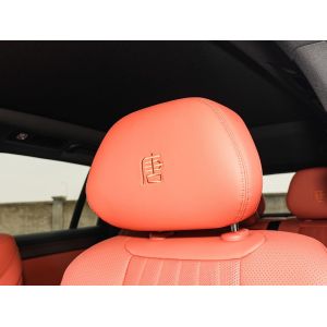 New Hot Selling BYD EV Car 2025 Model 100.5 KWh Battery Capacity and Fast