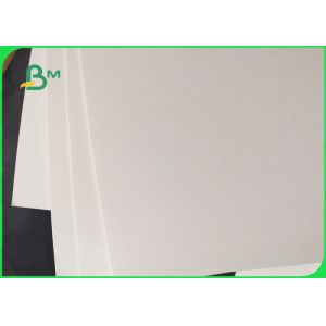 190g 210g PLA Coated Cupstock Paper For Coffee 100% Biodegradable Disposable