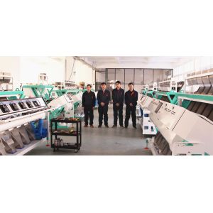 320 Channels Lentil Ccd Color Sorter For Food & Beverage Factory
