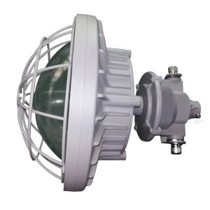 LED Explosion proof lighting, D, CI D1, 100W, 14000 Lumen, 5000K, 400W HID repl.