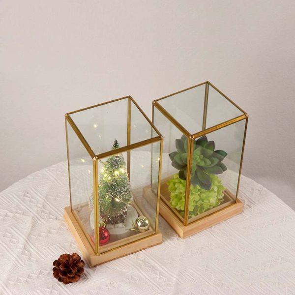 Glass artifact succulent cover copper golden gife package box jewelry accessories window display box Yiwu wholesale