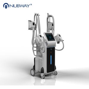 Wholesale 2018 Newest most professional hot selling 2500W Cryolipolysis slimming from china suppliers