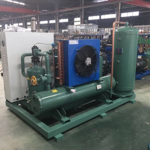 Chinese Manufactory Low Temperature Single Screw Compressor Condensing Unit