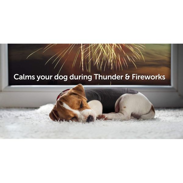 Dog Anxiety Jacket Vet Recommended Calming Solution Vest for Fireworks, Thunder, Travel, & Separation