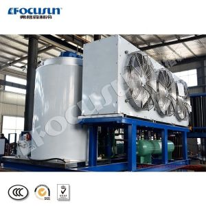 Wholesale 5T Flake Ice Machine for Seafood Cooling Provided Video Inspection Ice Storage 0.5T-30T from china suppliers
