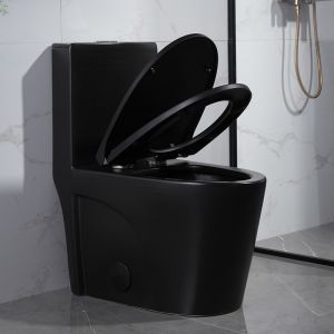 Matt Black One-Piece Compact Elongated Dual-Flush Toilet With Skirted Trapway