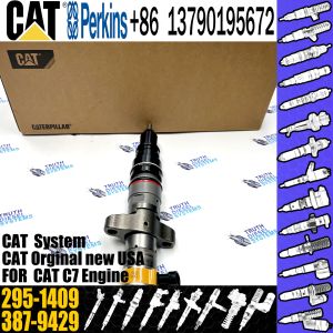 China Diesel Fuel Injector 10R-4762 243-4503 387-9429 295-1409 For Cat C7 Engine on sale