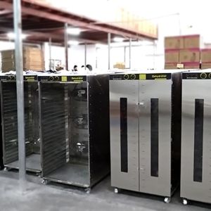 Molasses Dehydration Machine Honey continuous Belt Vacuum Freeze Dryer