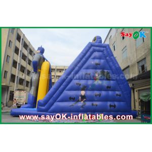 Customizable 8m Inflatable Bouncer Slide with Attractive Appearance and