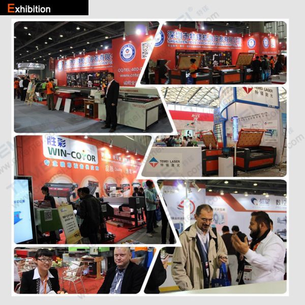 Automatic Multifunctional 600W CO2 Laser Cutting Machine for Wood and Acrylic