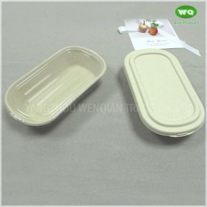 Eco-Friendly Sugarcane Pulp 850ml Package Box With Lid -100% Biodegradable