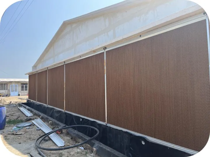 Automatic Layer Chicken Cage System Galvanized Structure For Efficient Farming