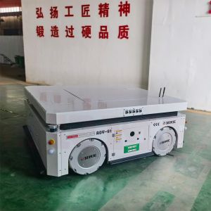 6T Mecanum Wheel Automated Guided Carts Omnidirectional Transport