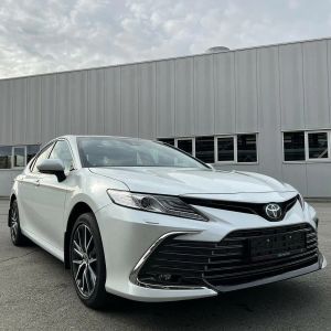 Chinese Electric Cars with 2.0-2.5L Displacement and Manual Copilot Seat