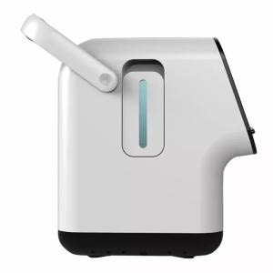Wholesale 10 Liter Portable Oxygen Concentrator 220 Volt With Atomization And Timing Function from china suppliers