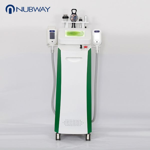 2017 the most popular 4 in 1 Cryolipolysis machine for beauty fat freeze