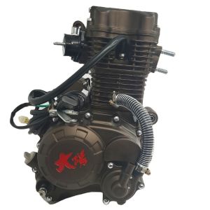 China 1 Cylinder Water-Cooled CG200 Tricycle DAYANG Gasoline Engine Assembly for Performance on sale
