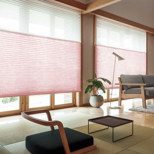 Wholesale WELLSOURCE Manual Cordless Day and Night Cellular Shades Non Blackout Light Filtering Honeycomb Fabric for Home, Office, from china suppliers