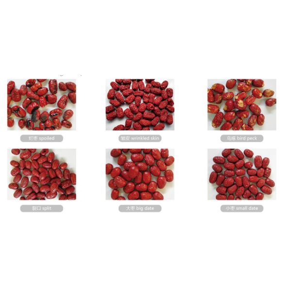 Anysort Intelligent Colour Sorting Machine For Red Date Easy Operation