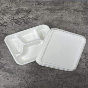 Eco Friendly Biodegradable Sugarcane Bowl Dish Paper Tableware Manufacture