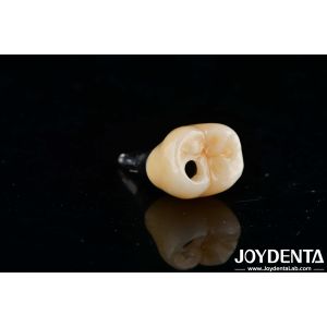 Precision Titanium Finished Abutments with Zero Angulation and Internal Hex