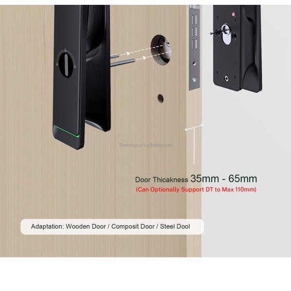 Liliwise Automatic Waterproof Electronic Smart Lock Camera Tuya Ttlock Fingerprint Digital 3D Face Recognition Smart Door Lock