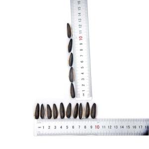 Amazon hot sale Sell high-quality sunflower seed raw materials that meet Egypt's