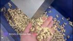 8-Lane Intelligent Cashew Grading Machine with AI Sorting and Custom Design