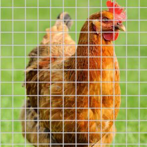 welded wire mesh prices 8x8 concrete reinforcing welded wire mesh