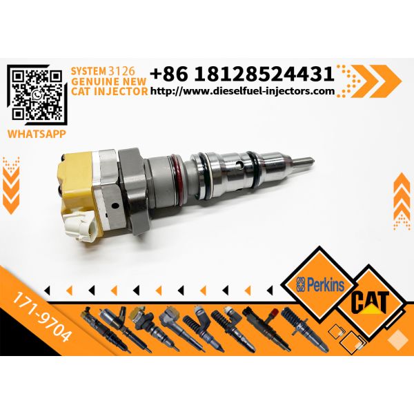 178-6432 128-6601 171-9704 171-9710 Common Rail Fuel Injector Cater 3512C 3516C